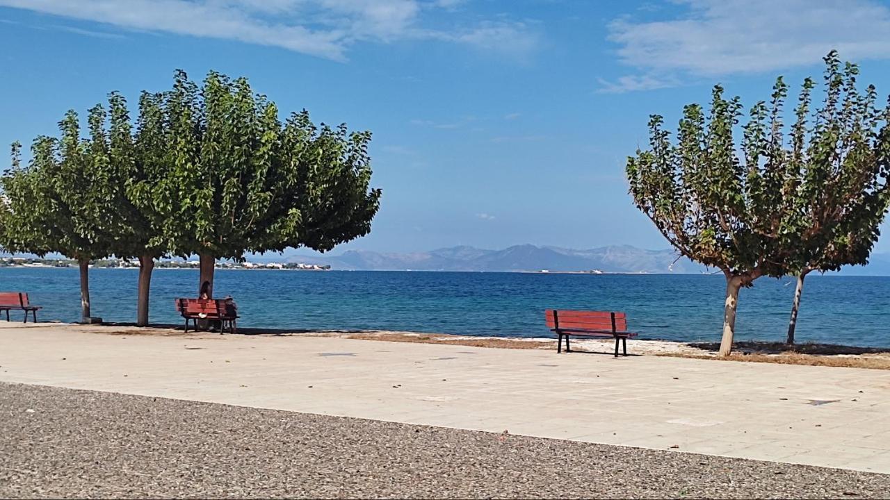Beautiful Choice - Near Athens Airport - 50M From The Sea - Iq+ Apartment Artemida  Exterior photo
